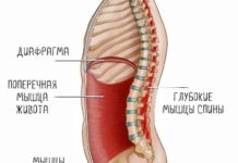 Пояс для фитнеса: делаем талию?