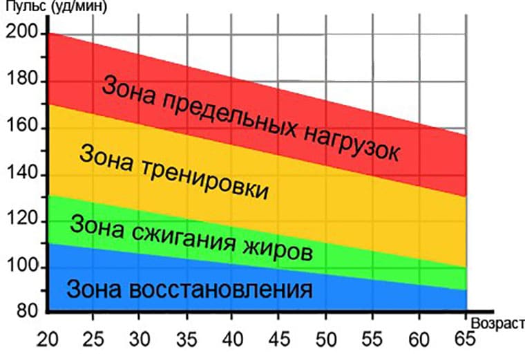 зона жиросжигания